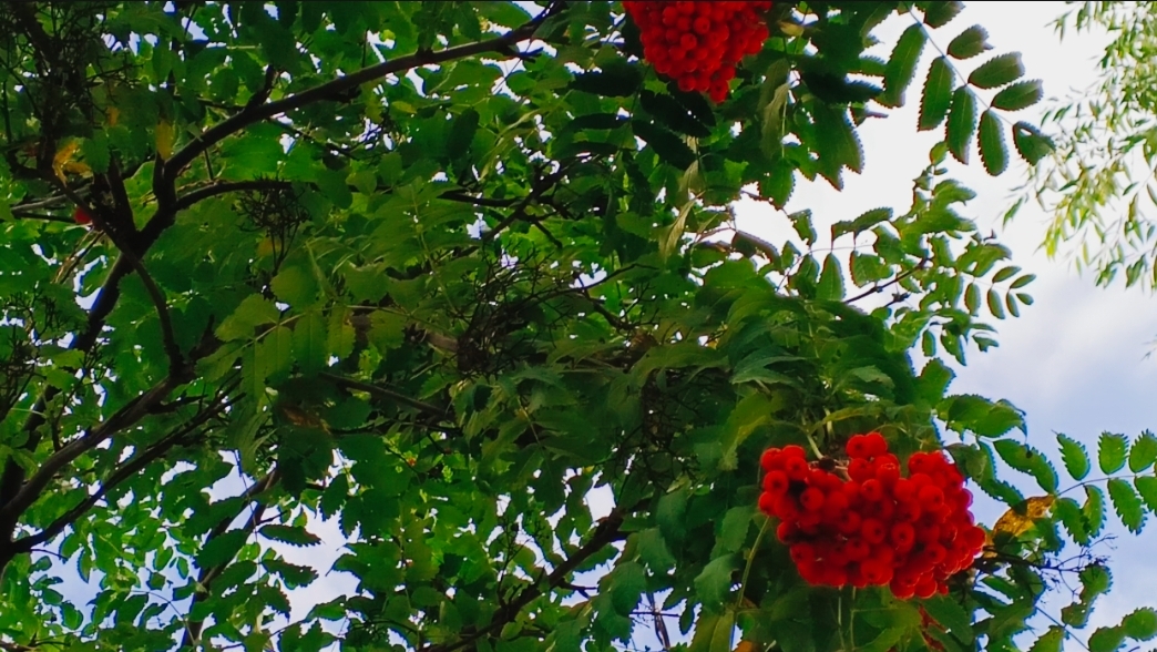 Подготовка к школе...Ульяши../ Покупки...