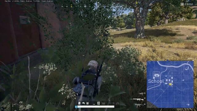 Эрангель = синяя зона