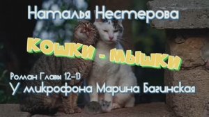 Аудиокнига Наталья Нестерова _Кошки-мышки_ Роман 12-13 части У микрофона  Марина Багинская
