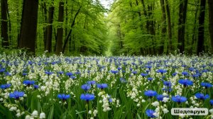 Штраус Иоган - Сказки венского леса. Классика.