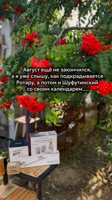 Как покупать товары на WB в 10 раз дешевле?