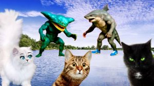 срочно! Мой Дрон Снял БОЙ ТРАЛАЛЕРО ТРАЛАЛА vs ЭЛЬ ГРАН МАЙЯ в Реальной Жизни!