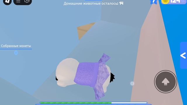 Играю в побег питомца