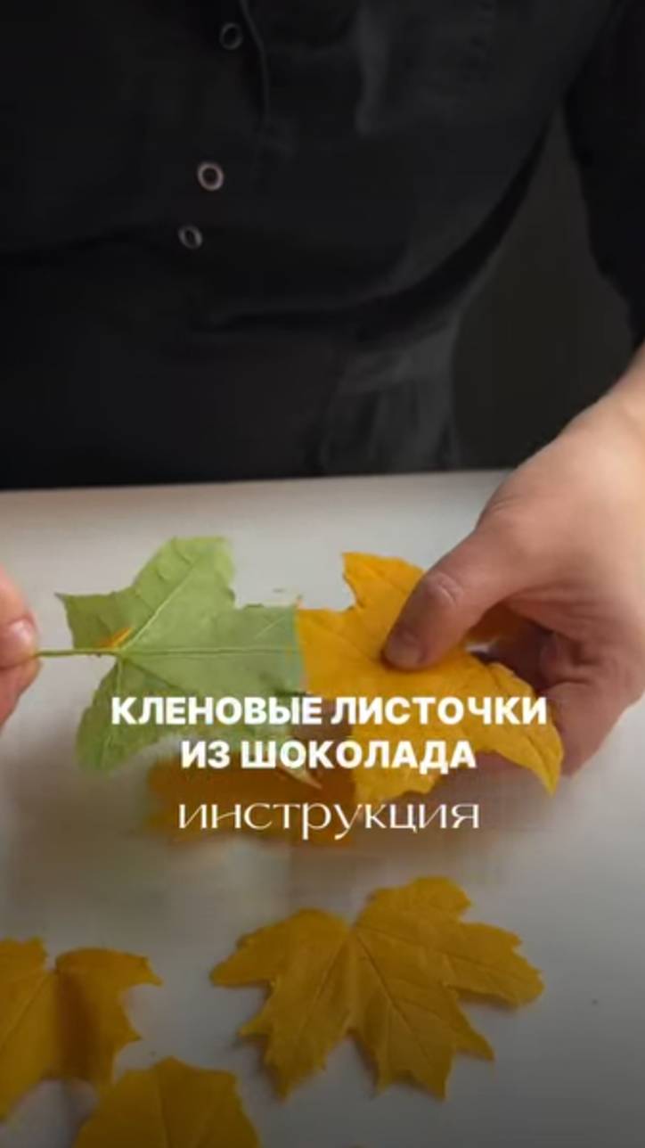Кленовые листочки из шоколада смотреть онлайн