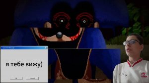 СОНИК МЕНЯ УВИДЕЛ ЧЕРЕЗ ВЕБ-КАМЕРУ (Sonic Eyx)