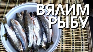 Вяленый елец. ВЯЛИМ рыбу быстро, просто и доступно. Мормышинг