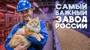Как на самом деле производят корм для кошек и собак в России. Показываем завод Лимкорм