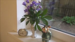 Подарки от Ани, ФП порадовал, вышивки, чистим, убираем...и многое другое.