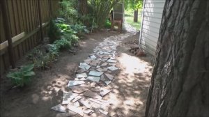 Чистим крышу, к Гале, дела...дела...делаа...