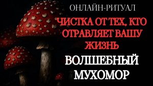 ЧИСТКА ОТ ТЕХ, КТО ОТРАВЛЯЕТ ВАМ ЖИЗНЬ. ОНЛАЙН-РИТУАЛ