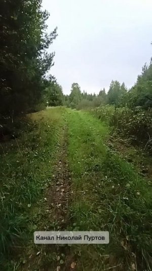 А получилось "За грибами"👍😊