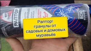 Отличное средство от садовых и домовых муравьёв: Раптор, проверено, помогает! Товары с Wildberies