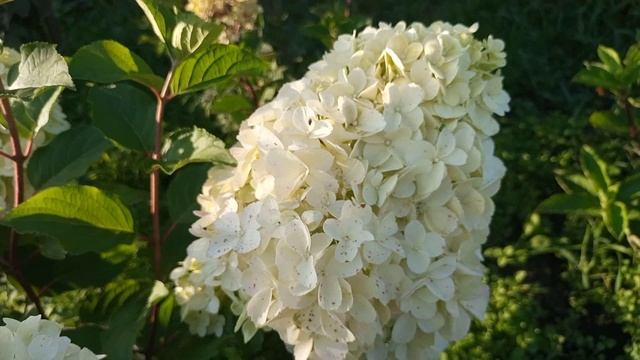 МОЙ ДЕНЬ на СЕЛЕ / Урал смотреть онлайн