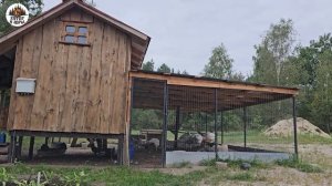 Сбегаем из города в лес и находим то, что теряют в город