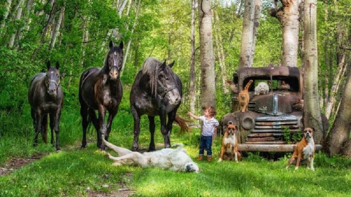 Праздник тринадцатой кошки смотреть онлайн