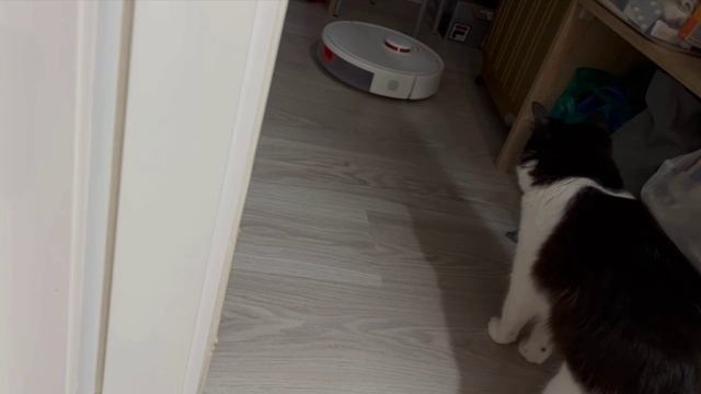 До чего дошел прогресс! смотреть онлайн