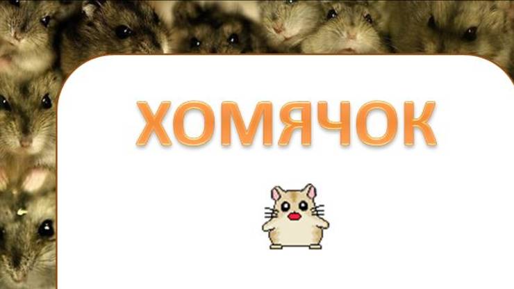 Хомячок. Минутка отдыха смотреть онлайн