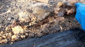 Делаем крышу!