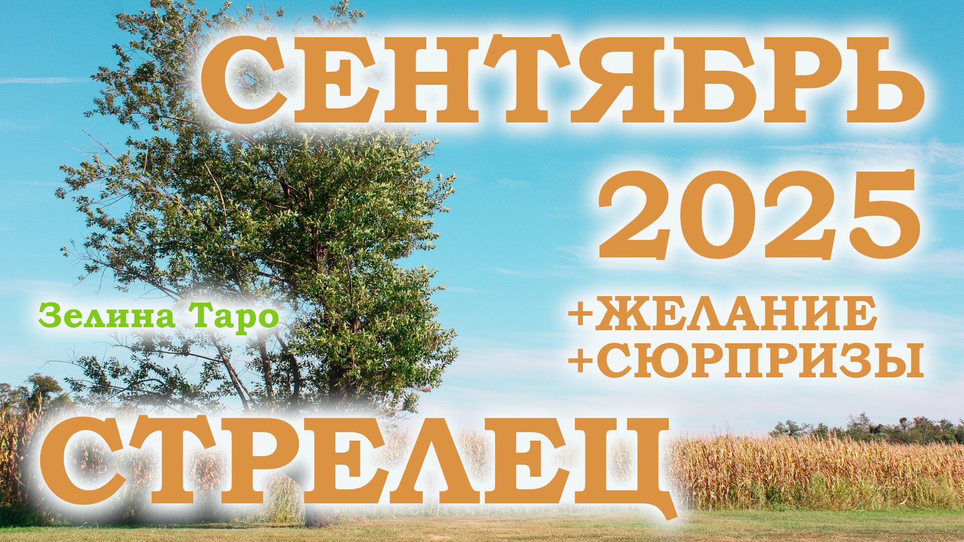 СТРЕЛЕЦ | ТАРО прогноз на СЕНТЯБРЬ 2025 года | Желание | Сюрпризы | Расклад таро