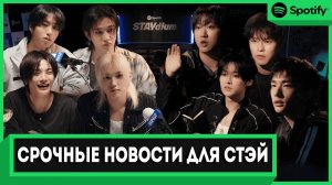 Срочные новости для Стэй! | Stray Kids Spotify STAYdium
