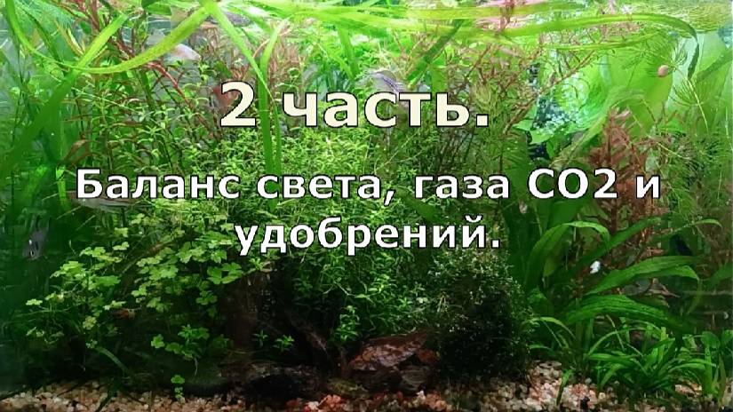 Часть 2.  Продолжение видео 