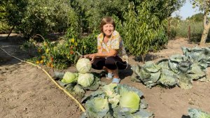 Переехали на юг и очень счастливы | Собираем урожай | Квасим капусту | Опять качаем мед