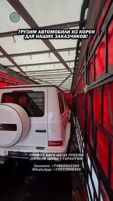 ГРУЗИМ АВТО из КОРЕИ для ЗАКАЗЧИКОВ! #автоподбор #автоприколы #автоюмор #автомобили #купитьавто смотреть онлайн