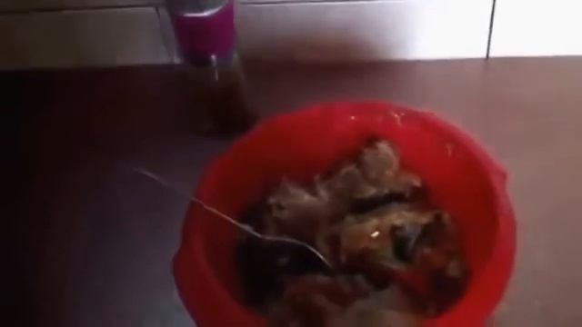 Как приготовить свинину в горчице и соевом соусе смотреть онлайн