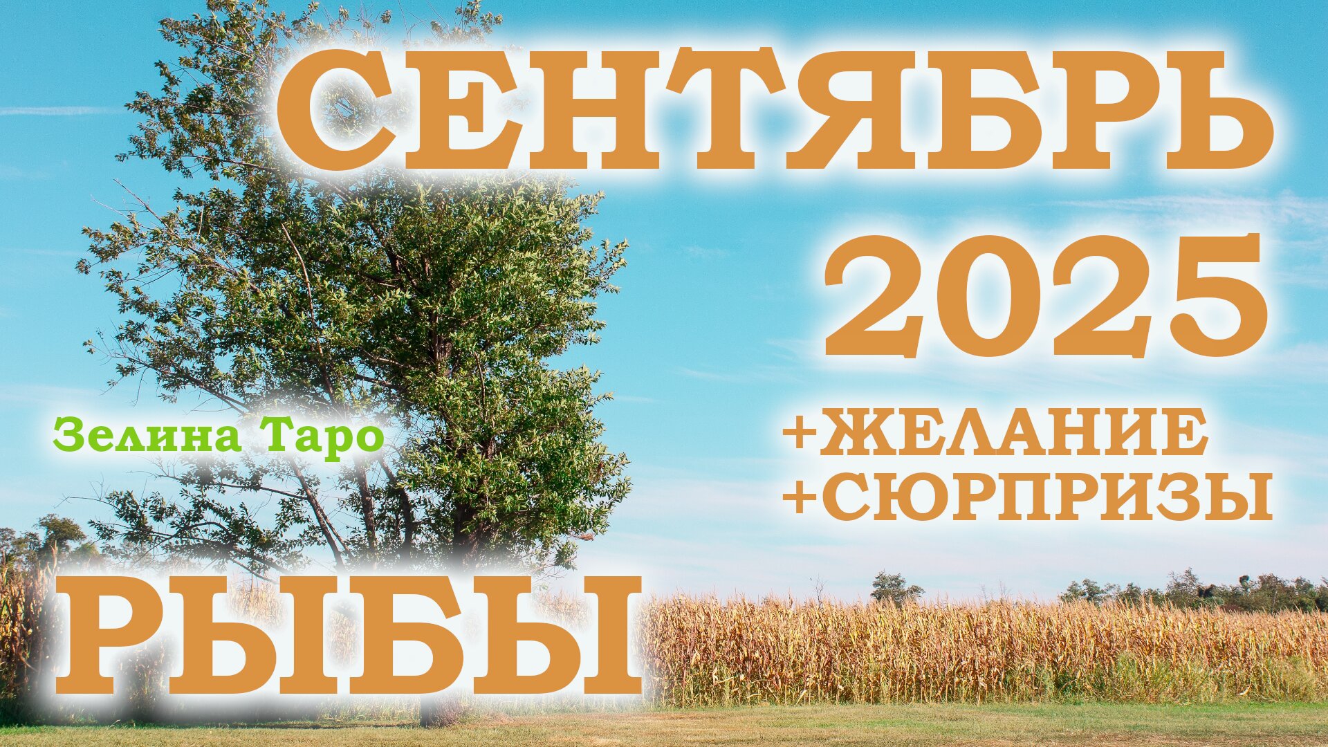 РЫБЫ | ТАРО прогноз на СЕНТЯБРЬ 2025 года | Желание | Сюрпризы | Расклад таро