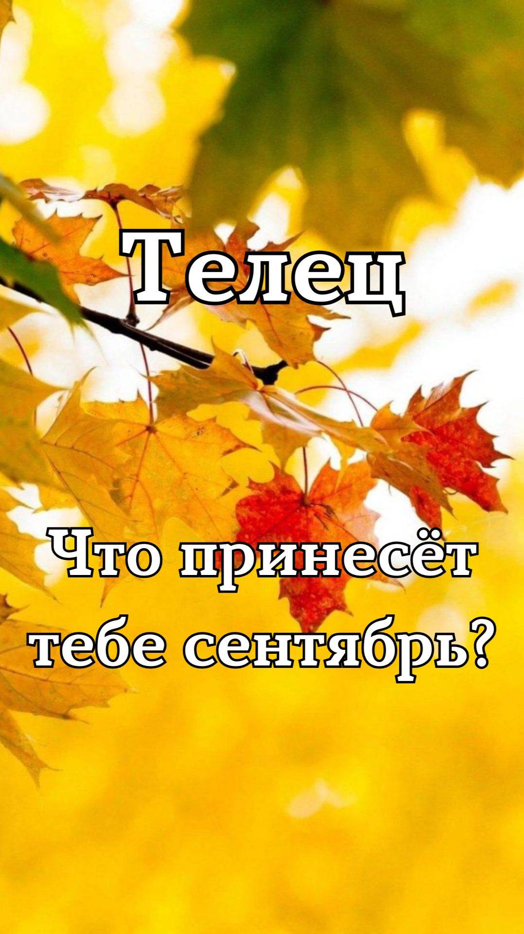 ✨Карта сентября✨Телец смотреть онлайн