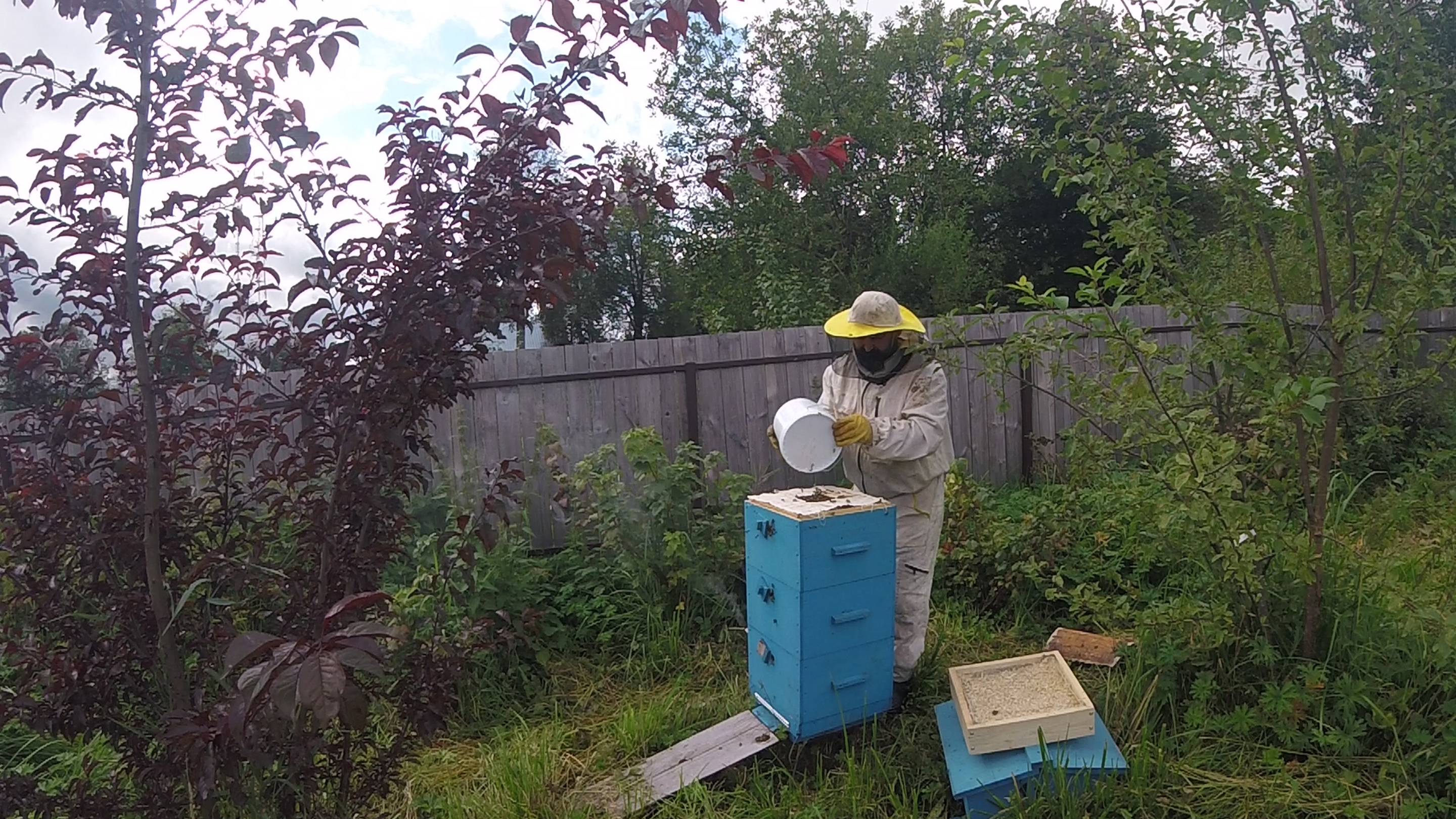 Деревня Соснино (подкормка пчёл в зиму)