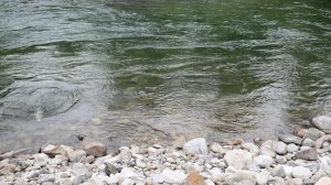 Рыбалка на Сихотэ-Алине. Телеграмм канал @nozhonozhiki