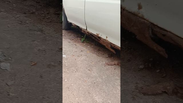 Video_ авто
