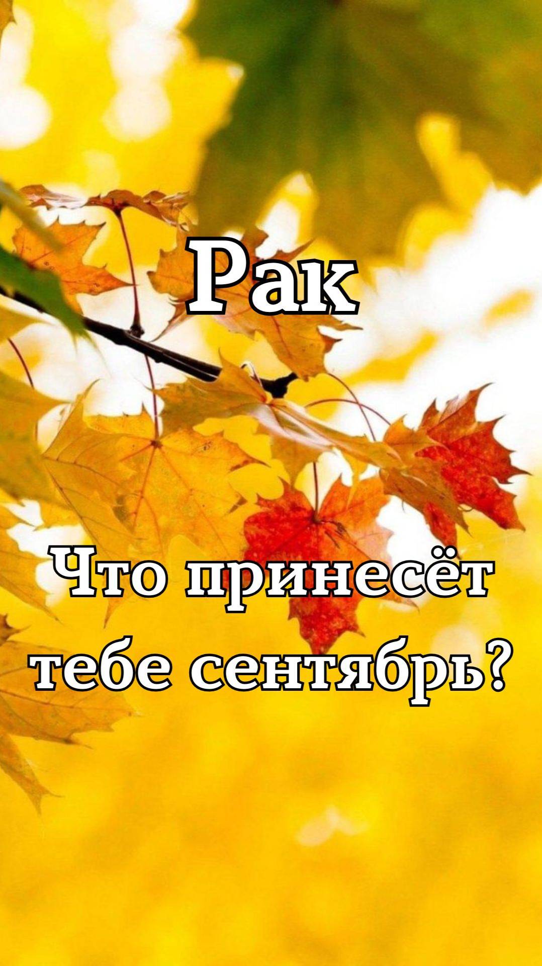 ✨Карта сентября✨Рак смотреть онлайн