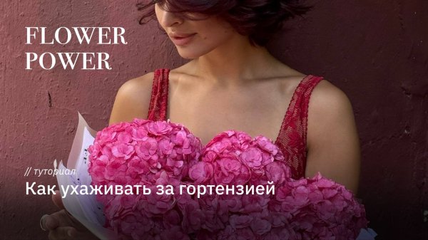 Как ухаживать за гортензией