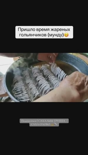 В Якутии сезон гольянов (мунду). Жарят гольяны на сковороде необычным методом.👍😀