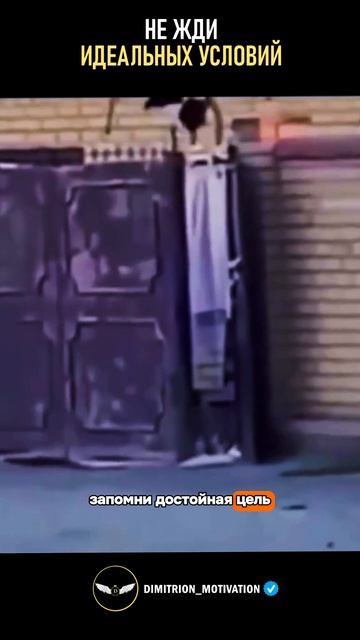 НИКОГДА не жди идеальных условий #совет смотреть онлайн