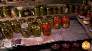 Чем дышит погреб? Доброе утро. Фрагмент выпуска от 26.08.2025
