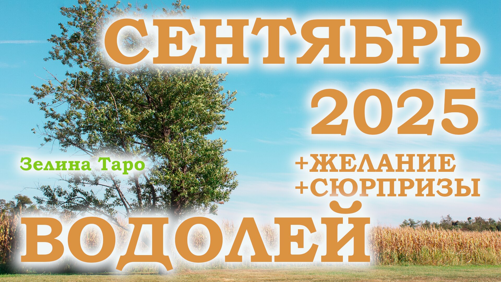 ВОДОЛЕЙ | ТАРО прогноз на СЕНТЯБРЬ 2025 года | Желание | Сюрпризы | Расклад таро