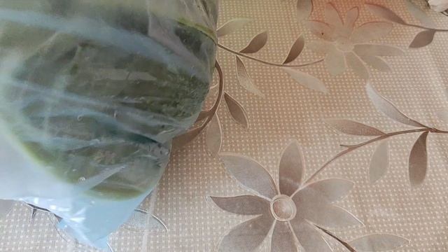 Домашние хлопоты... смотреть онлайн