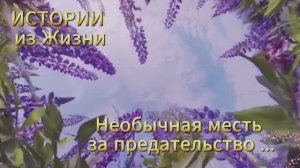Истории из жизни: ✅ Необычная месть за предательство. Аудио рассказы Жизненные истории