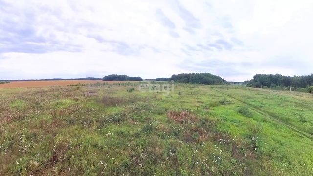 9654309 смотреть онлайн