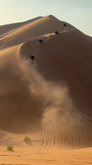 Desert Drive смотреть онлайн