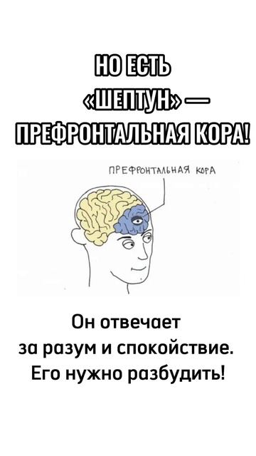 А вас что чаще всего выводит из себя?