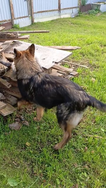 подружки смотреть онлайн