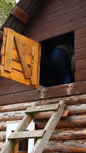 СБЕЖАЛ ЧЕРЕЗ КРЫШУ В РЕАЛЕ!!!  #schoolboy #скулбой #скулбойраневей