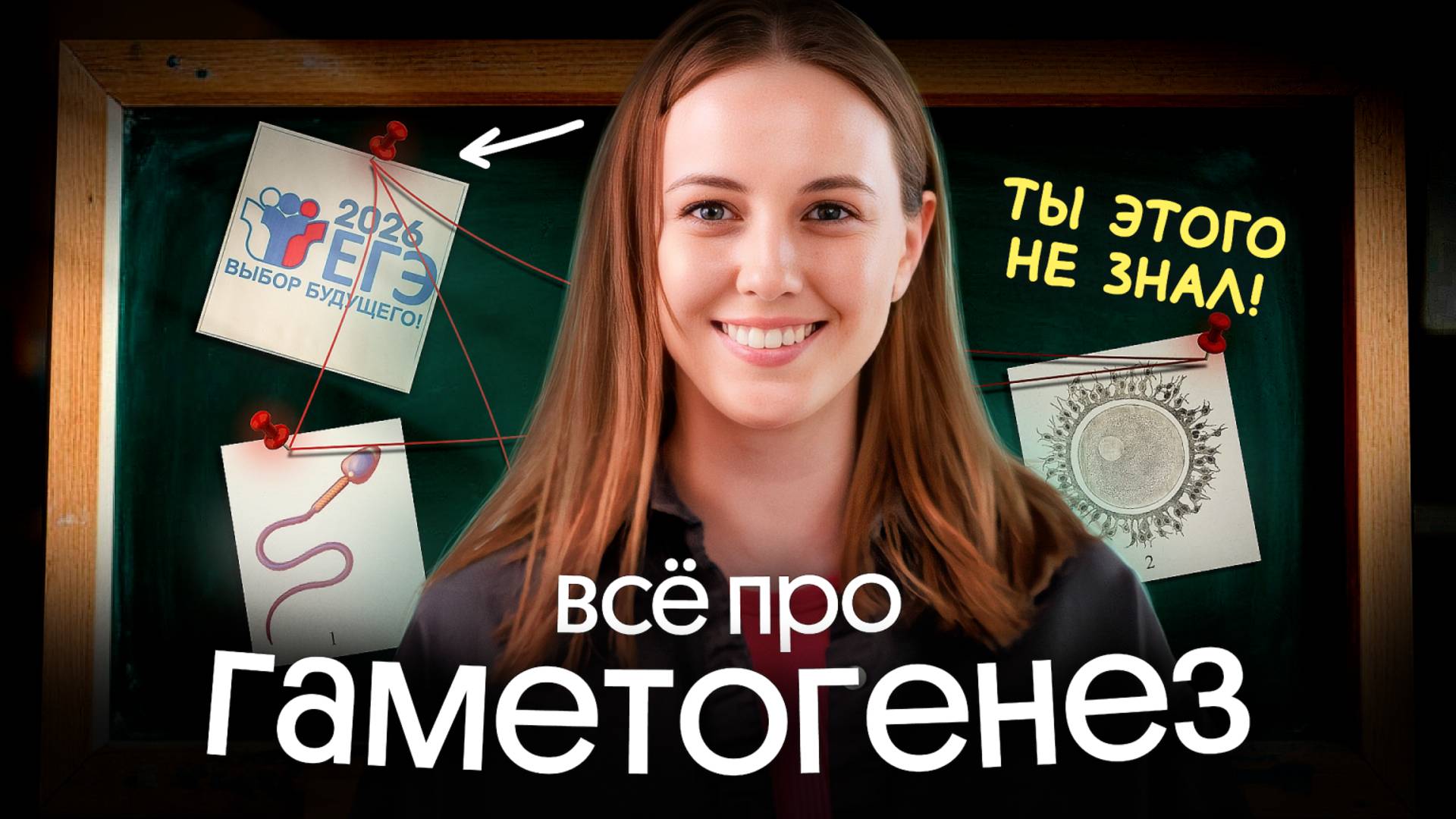 КАК УСТРОЕН ГАМЕТОГЕНЕЗ? | ПОДГОТОВКА К ЕГЭ ПО БИОЛОГИИ смотреть онлайн