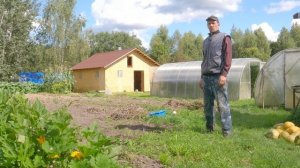 Теперь все силы на "Коровий дом"! Картофель порадовал в этом году!  Жизнь в деревне