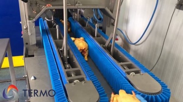 Пила Astech СС2 распиловка охлажденных куриных тушек на две части вдоль