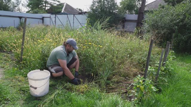 Дожди в Сибири Пора выкапывать картофель ПОДВАЛ ИЛЬИЧА капаю домашнюю картошку смотреть онлайн